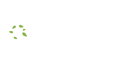 Cosmetic Laser Therapy